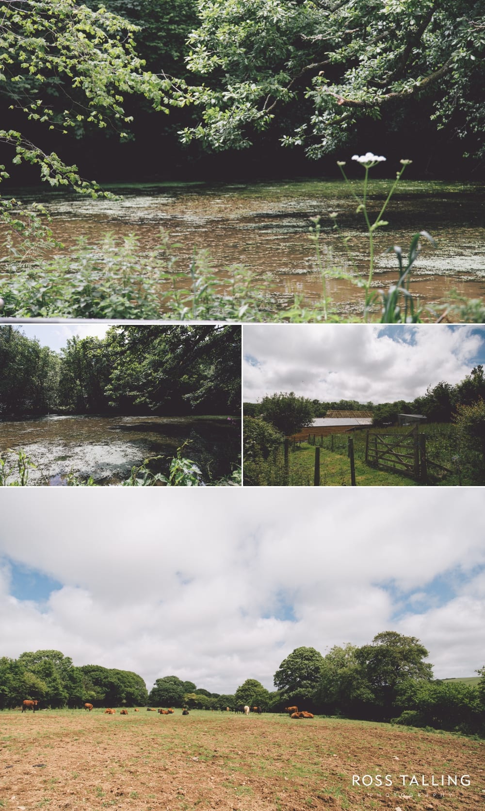 Nancarrow Farm - Ross Talling Photography_0021