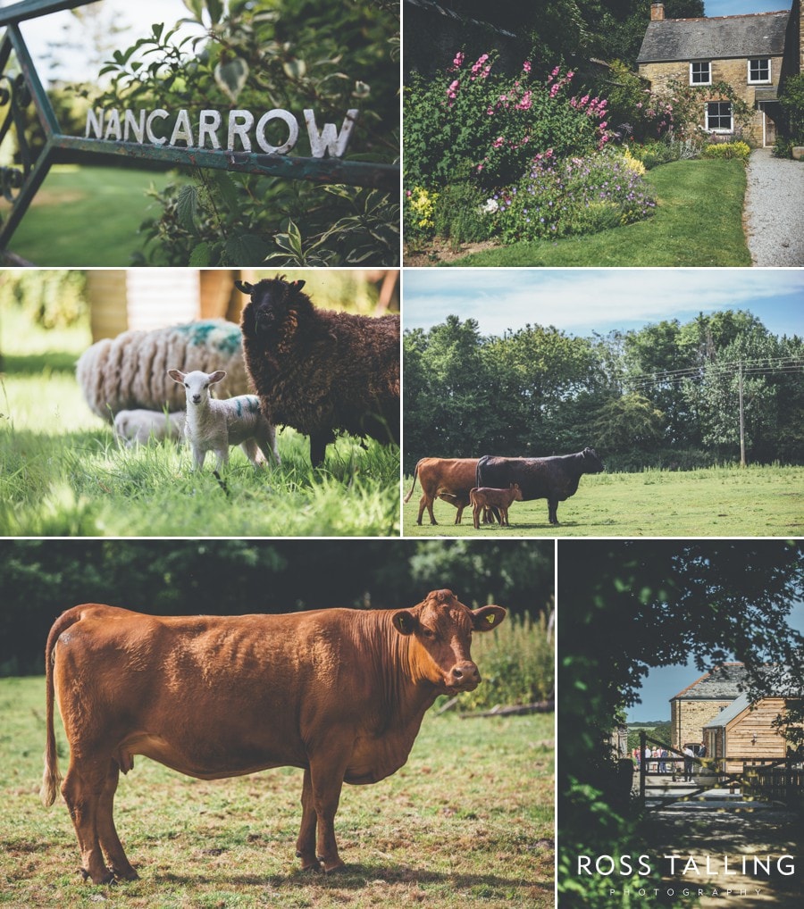 Nancarrow Farm Cornwall Wedding Photography_0087
