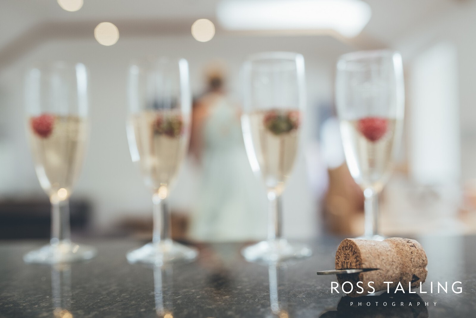 Mount Pleasant Eco Park Wedding Photography_0008