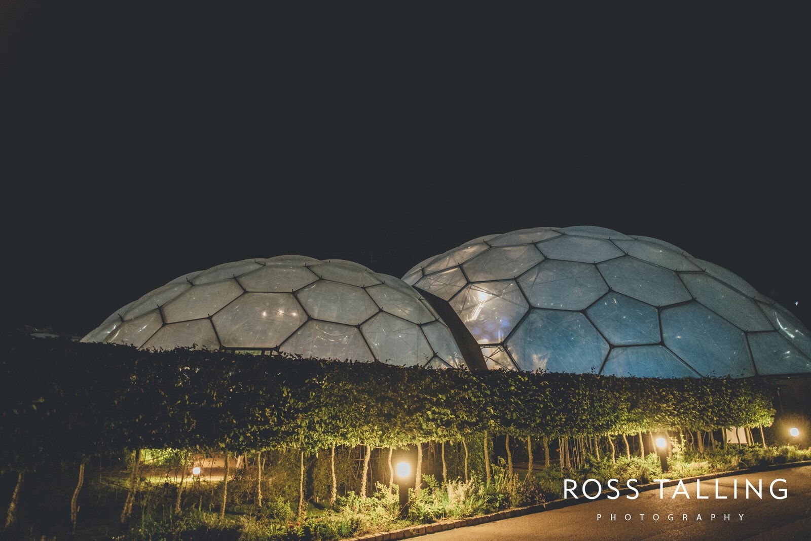 Eden Project Wedding Photography_0131