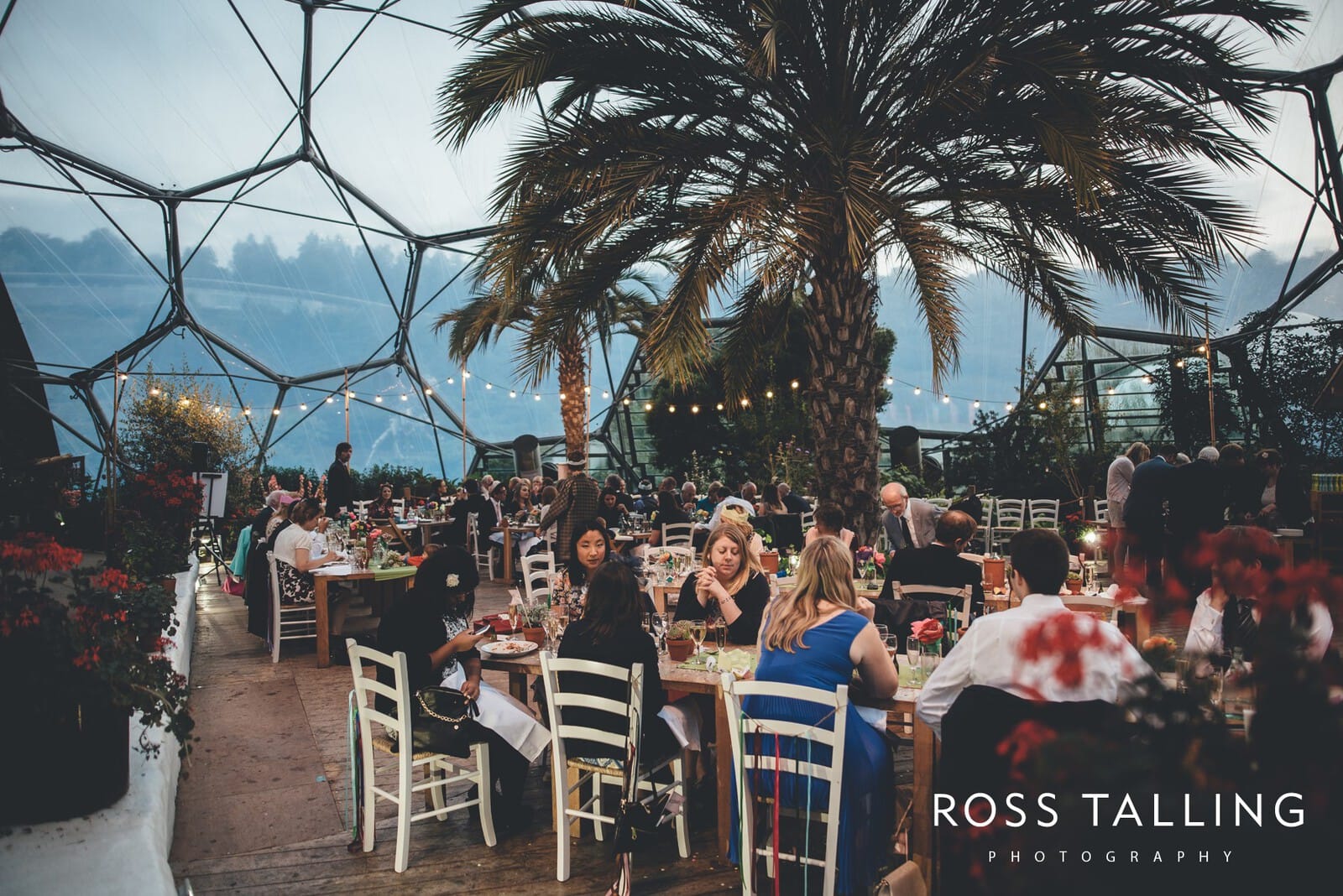 Eden Project Wedding Photography_0085