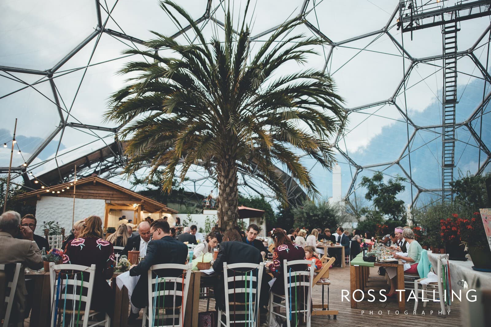 Eden Project Wedding Photography_0083