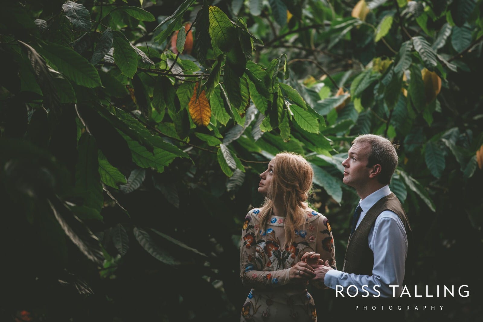 Eden Project Wedding Photography_0064