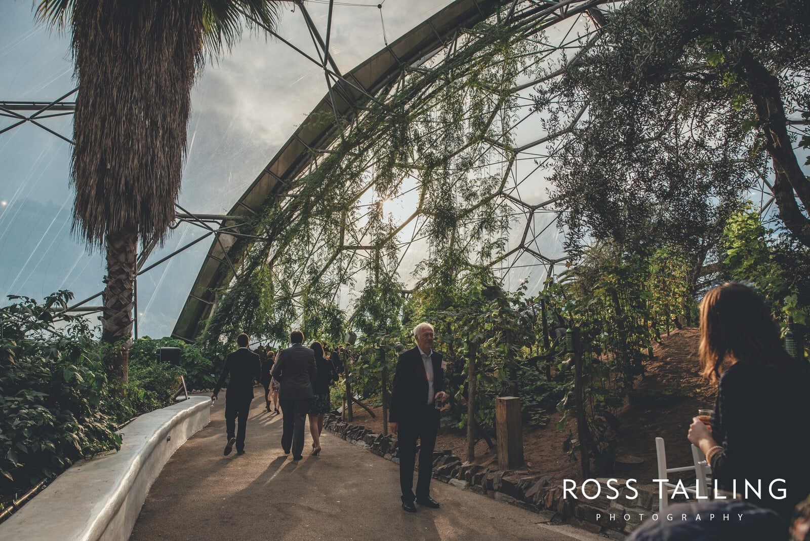 Eden Project Wedding Photography_0052