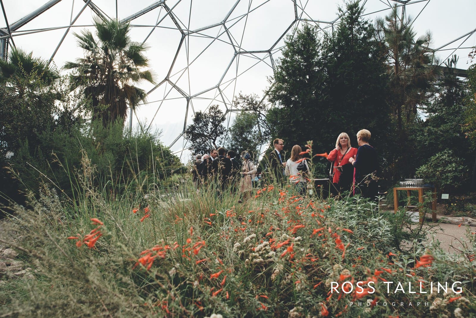 Eden Project Wedding Photography_0047