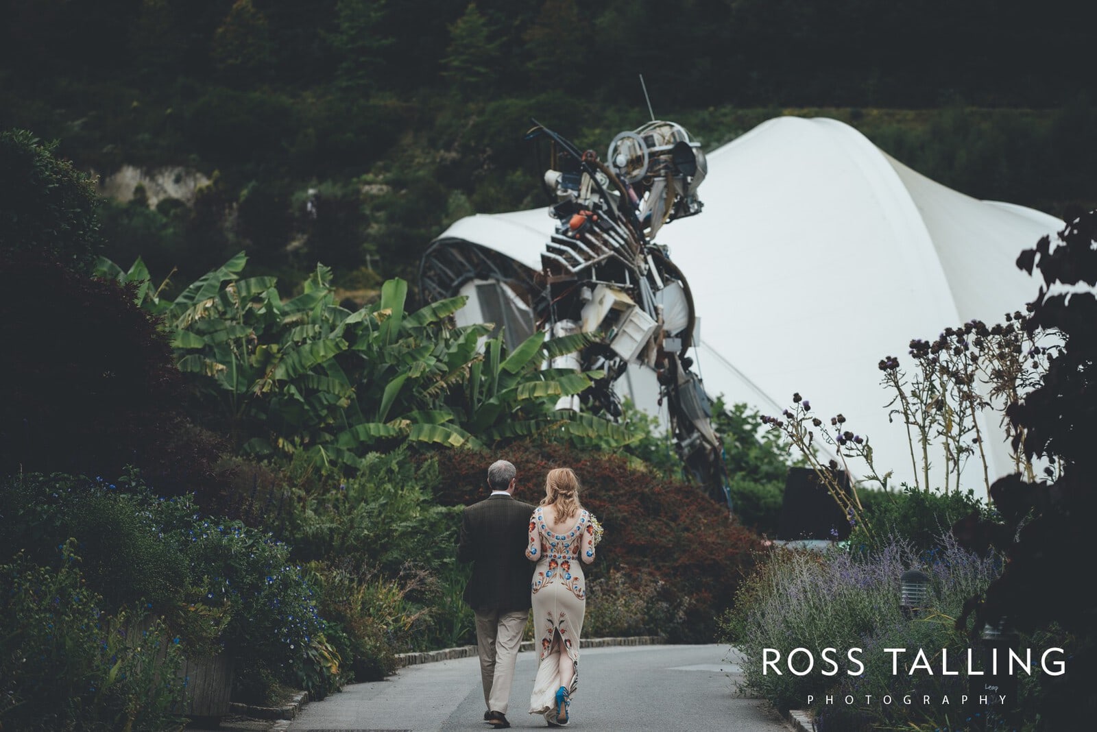 Eden Project Wedding Photography_0042