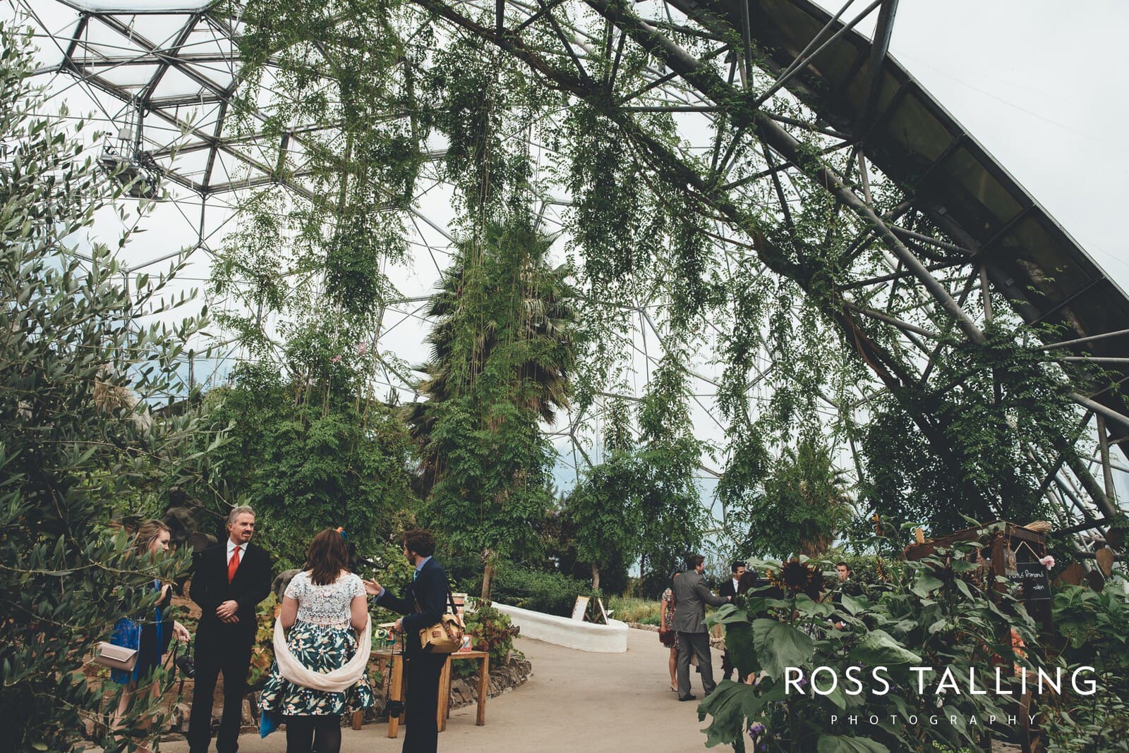 Eden Project Wedding Photography_0005