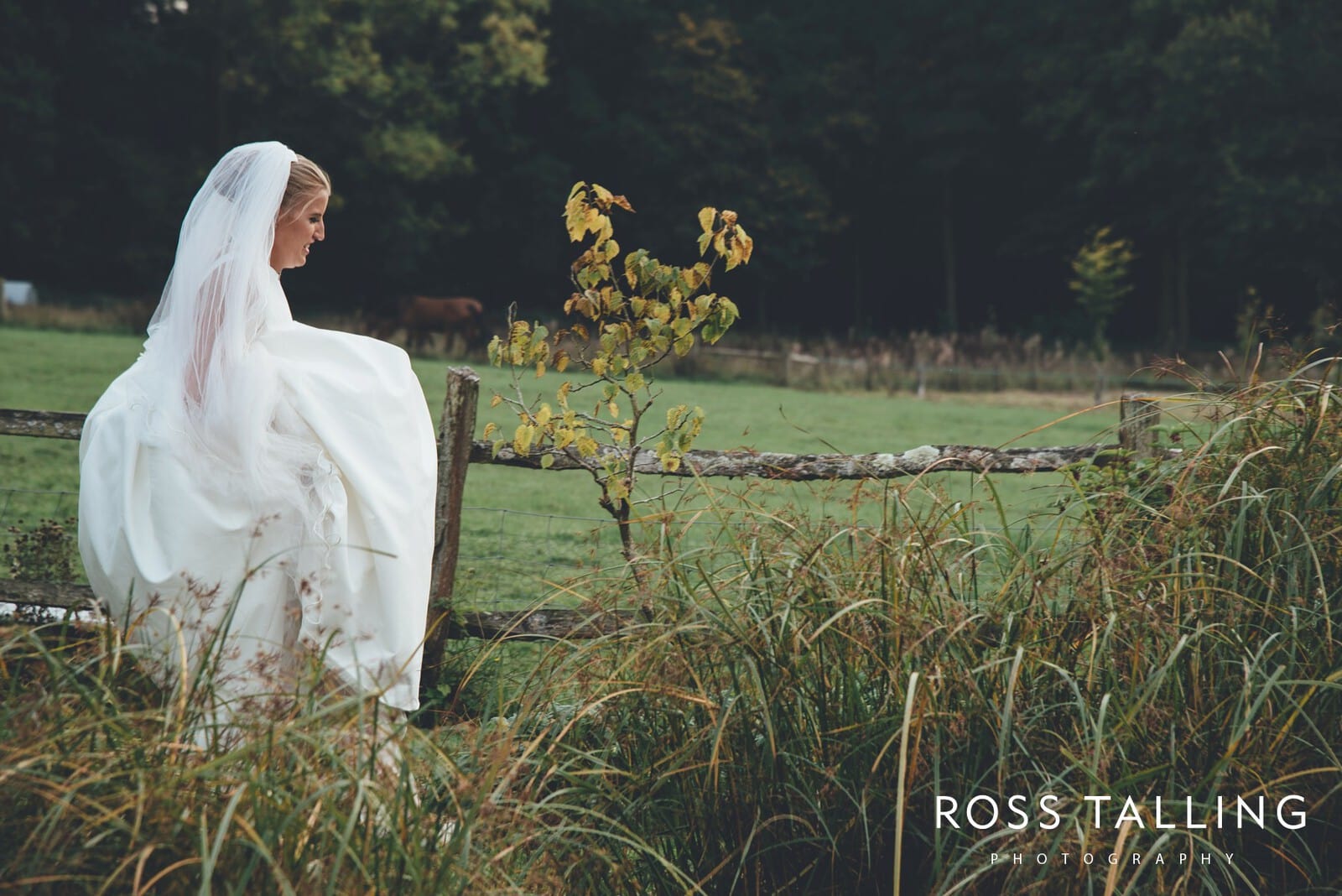 Sussex Wedding Photography by Ross Talling_0083