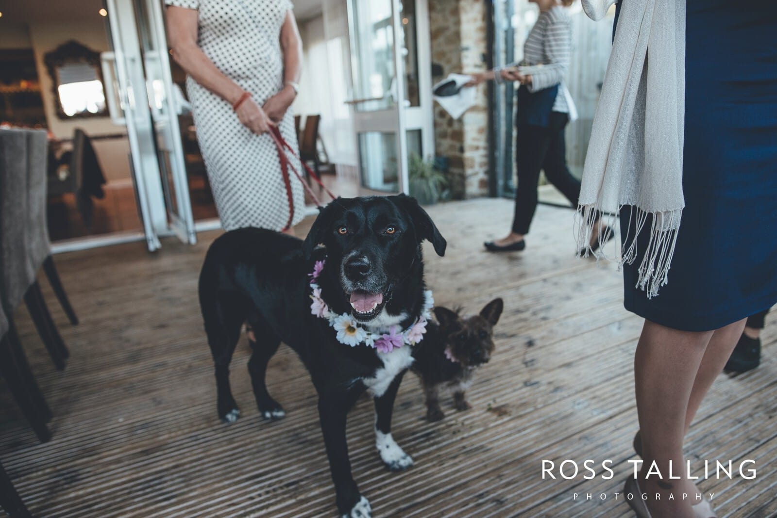 Maritime Museum wedding photography cornwall_0124