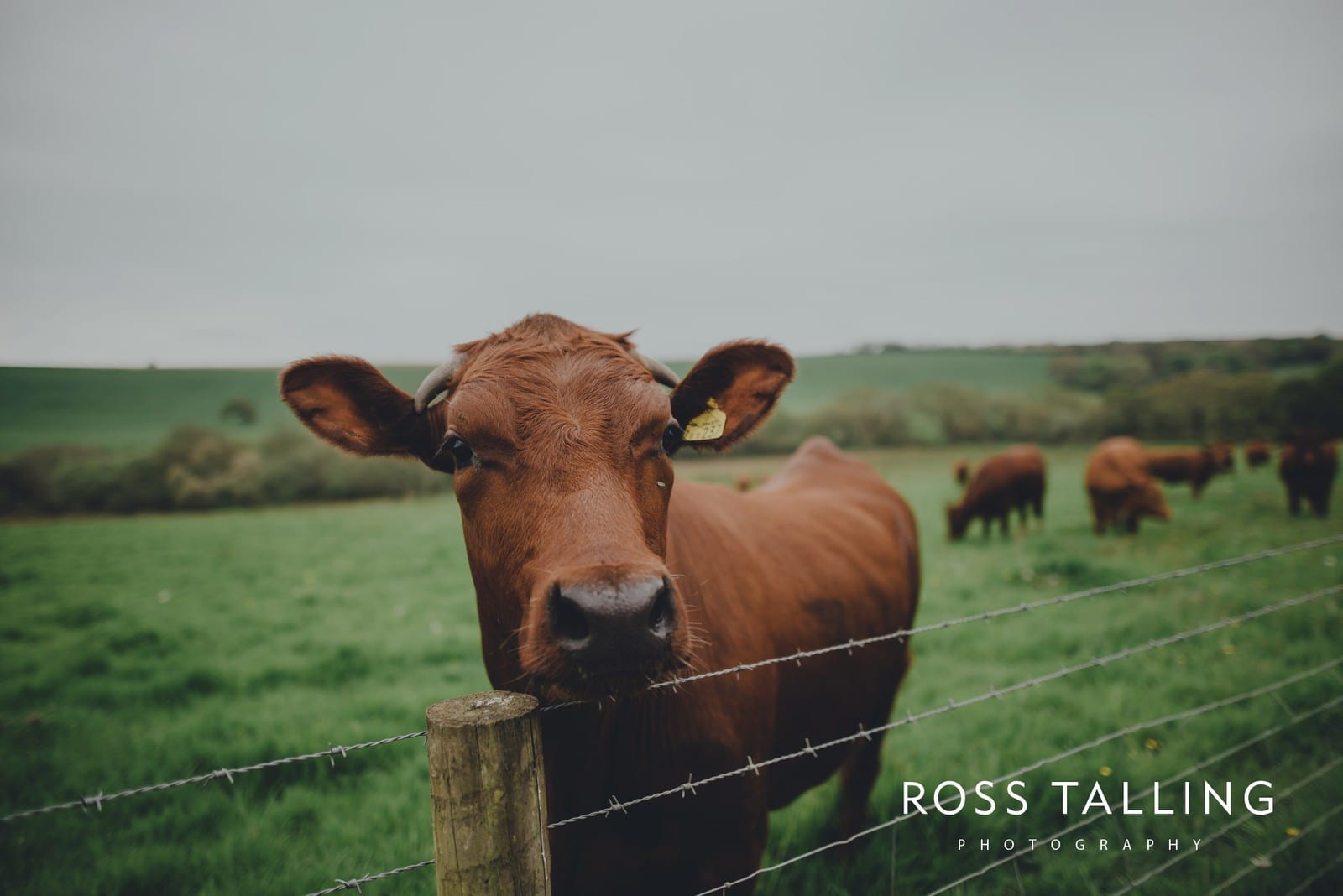 Melanie & Sean's Nancarrow Farm Wedding Photography Cornwall_0001