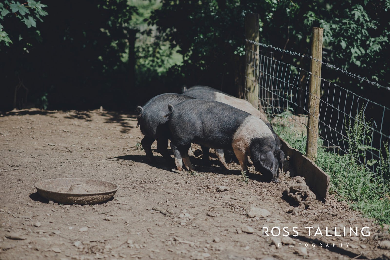 zara-adey-nancarow-farm-wedding-photography-cornwall_0114