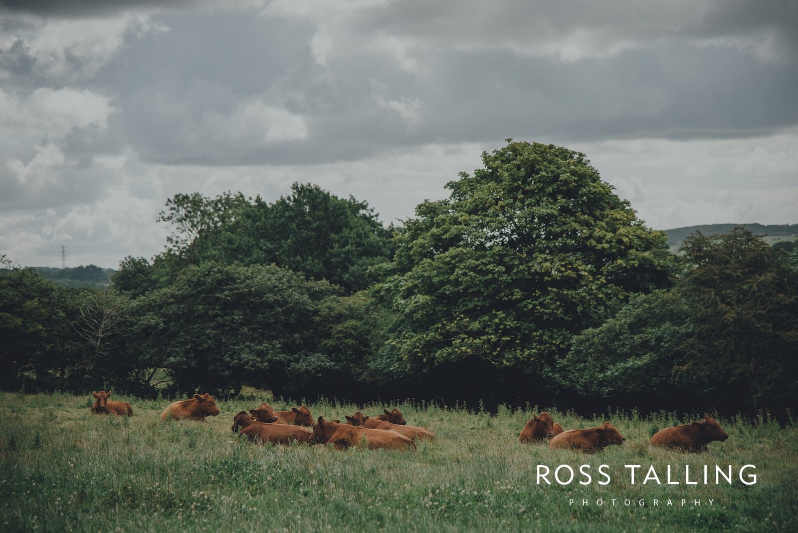 zara-adey-nancarow-farm-wedding-photography-cornwall_0001